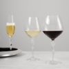 carrol-boyes-white-wine-glass-set-of-2-connoisseur