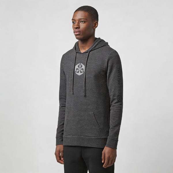 Picture of Mens Physical Hooded Sweater